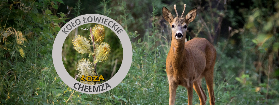 Koło Łowieckie Łoza